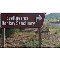 Eseltjiesrus Donkey Sanctuary image